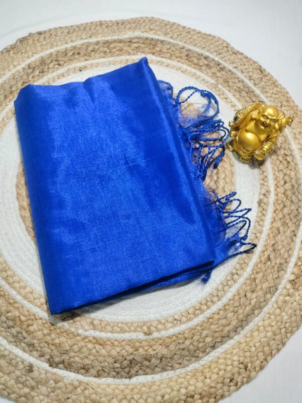 🥰Raga tissue saree collection🥰 - Image 4